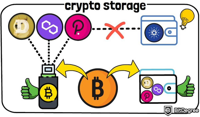 热储存和冷储存有什么区别?刚入圈必须了解 - php中文网